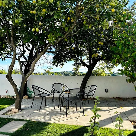 Casa Da Artista - Stylish House With Plunge Pool And Lush Garden Close To