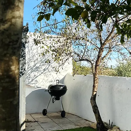 Casa Da Artista - Stylish House With Plunge Pool And Lush Garden Close To Holiday home